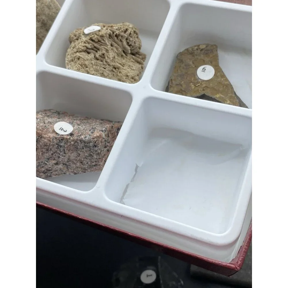 Hand2mind introductory rock
